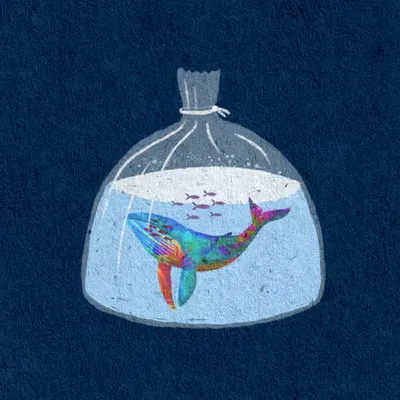 Whale