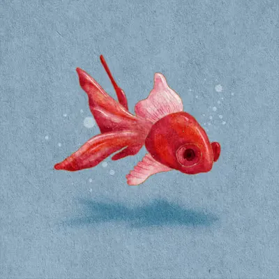 🐟