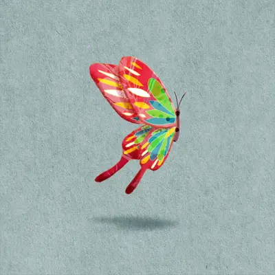 🦋