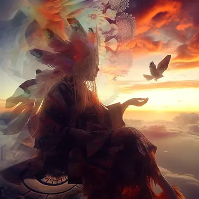 Let Your Dreams Fly 