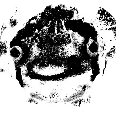 cute ass fish