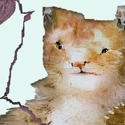 today's simba
