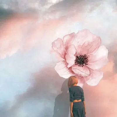 Wallflower 