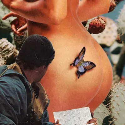 Butterfly Effect