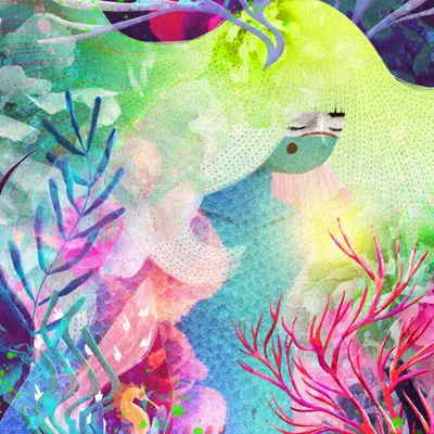 Ocean Instinct
