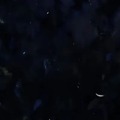24 01 2024