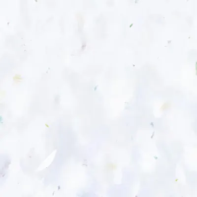 25 01 2024