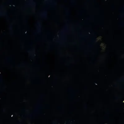 26 01 2024