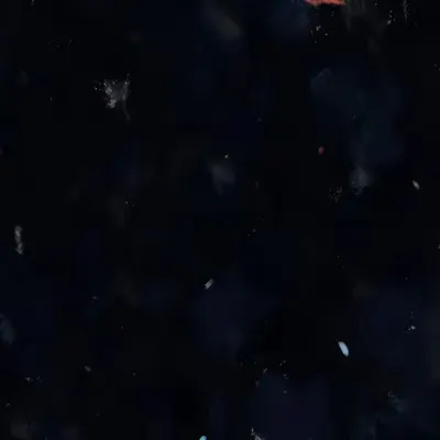 28 01 2024