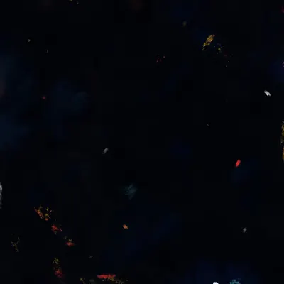 30 01 2024