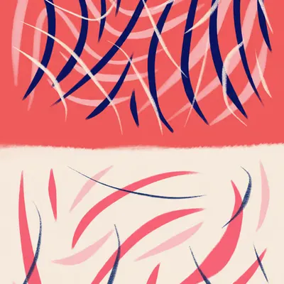 Oblique #25