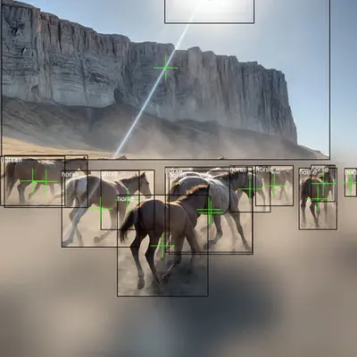Gallop