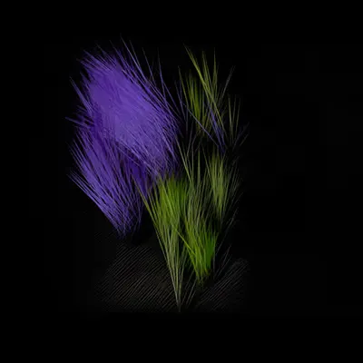 Spring (m80 b63u5,22354,1)