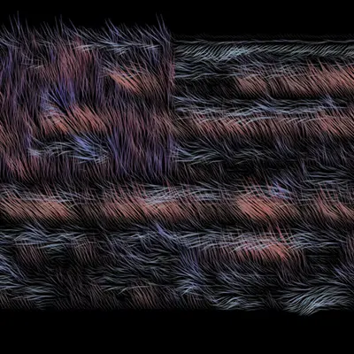 Flag (b70k,23,1-m95)