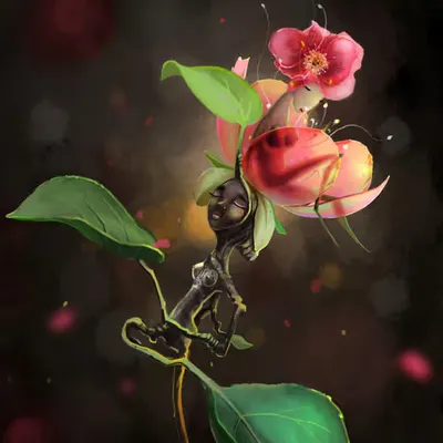 Apple Blossom