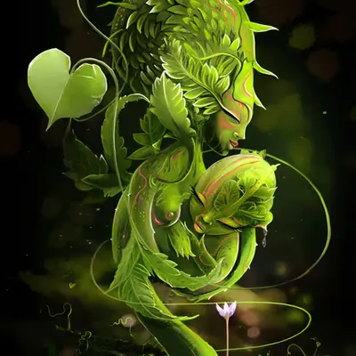 Spring Seed
