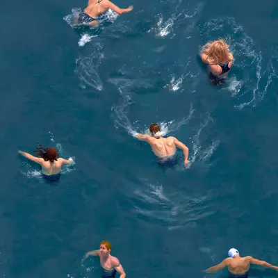 Swimmers