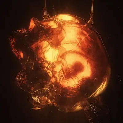 /CHRYSALIS