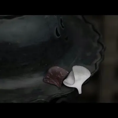 /SAMSARA