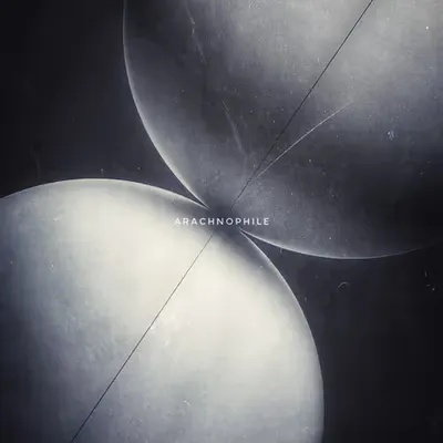 /TERMINUS