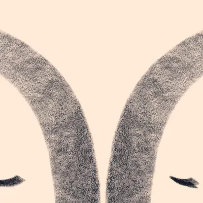 The Kiss 5
