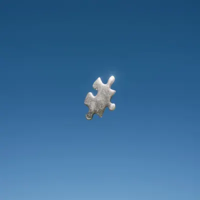 Puzzle Piece