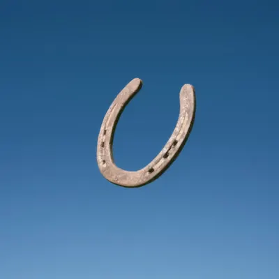 Horseshoe