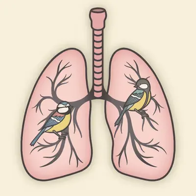 Lung tree #1