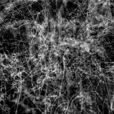 Chaos
