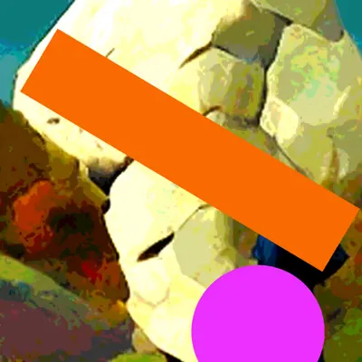 (NON)SENSE