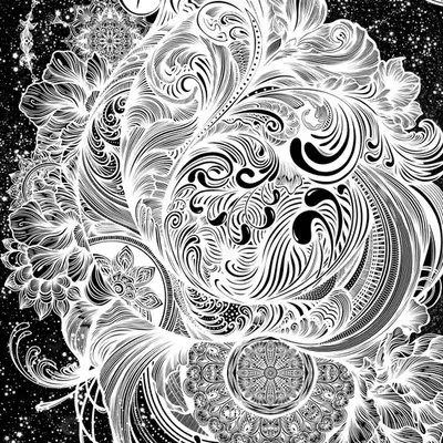 The Portal of Wonder