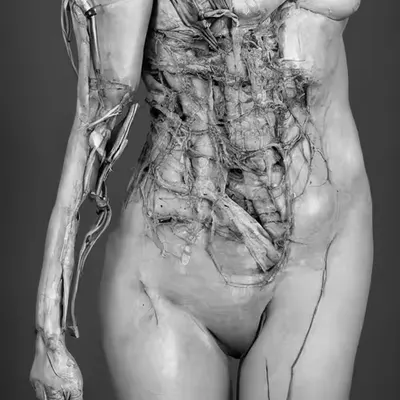 Self-Surgery