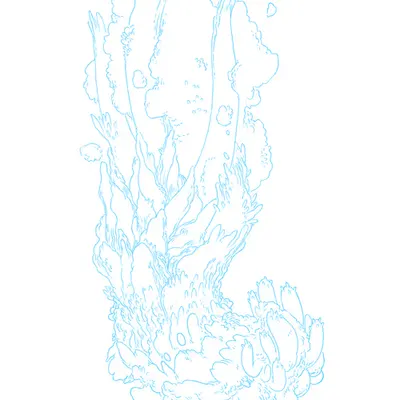 Form_01