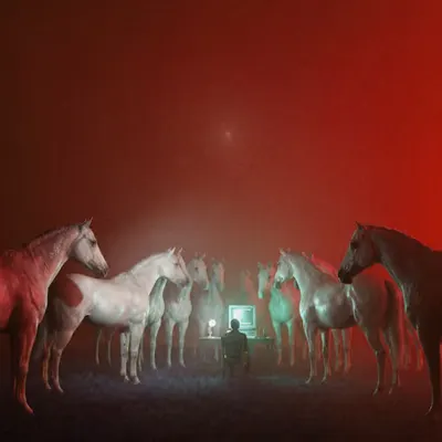 /spawn horse