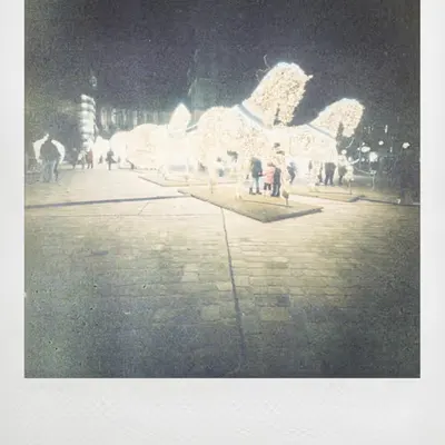 Horses
