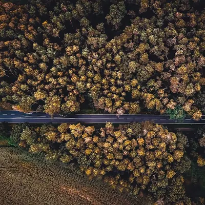 Drone view