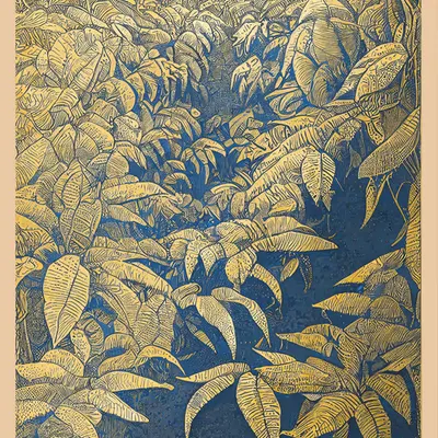 Daintree #1/15
