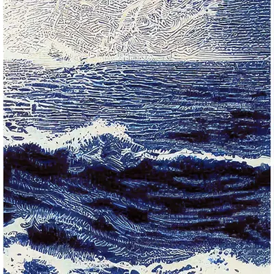 The Southern Sea - The Seabird
