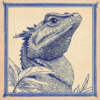 Chinese Water Dragon