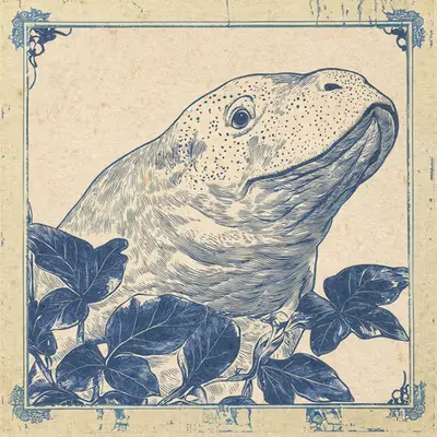Dugong
