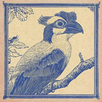 Hoatzin