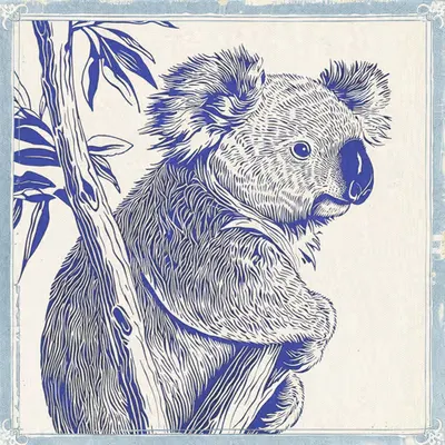 Koala