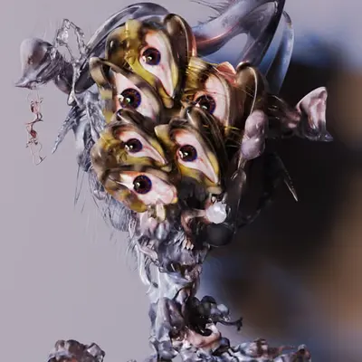all-seeing eyes