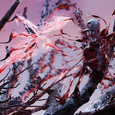 crystal sakura 