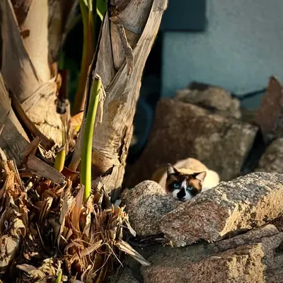 Well Hi there!