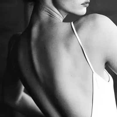 Spine