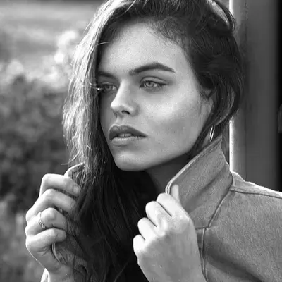 Domino