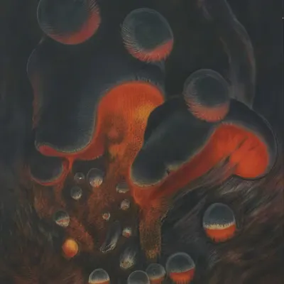 EXPERIMENT1-11
