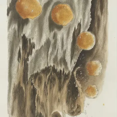 EXPERIMENT1-20