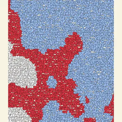 Cartographic abstraction